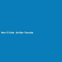 Herrliche Seide-Tasche
